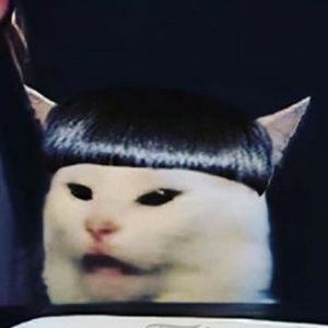 Meet your Posher, Josue